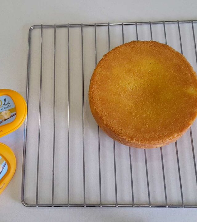 immagine della ricetta Sponge Cake realizzata conReolì Girasole
